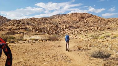 Safari Tour Highlights