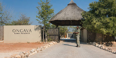 Safari Tour Highlights