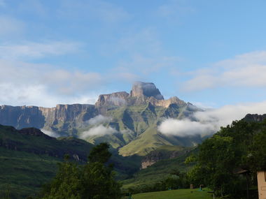 Safari Tour Highlights