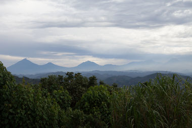 Safari Tour Highlights