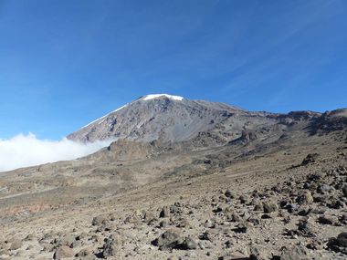 Safari Tour Highlights