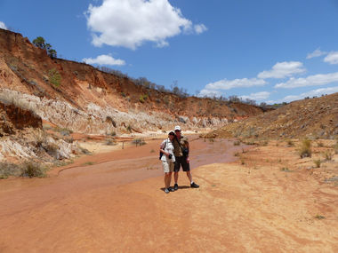 Safari Tour Highlights