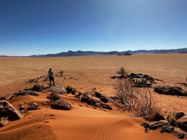 Safari Tour Highlights