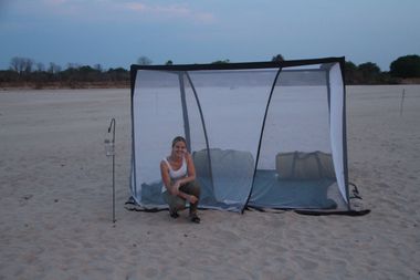 Safari Tour Highlights