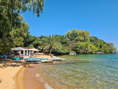 Safari Tour Highlights