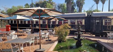 Safari Tour Highlights