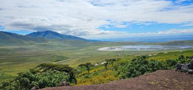 Safari Tour Highlights