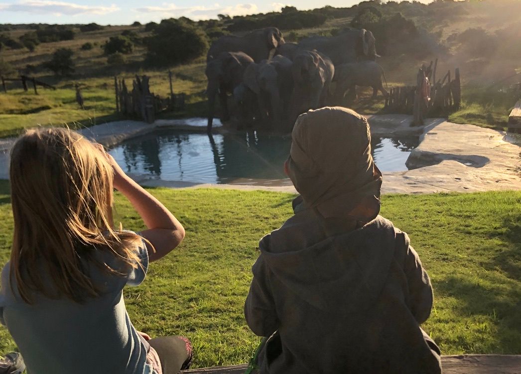 AA-IH-Familiensafari in SA