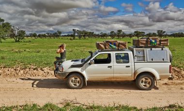 Safari Tour Highlights