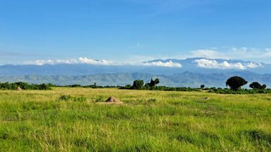 Safari Tour Highlights