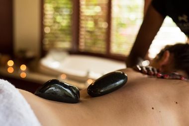 Safari Tour Highlights